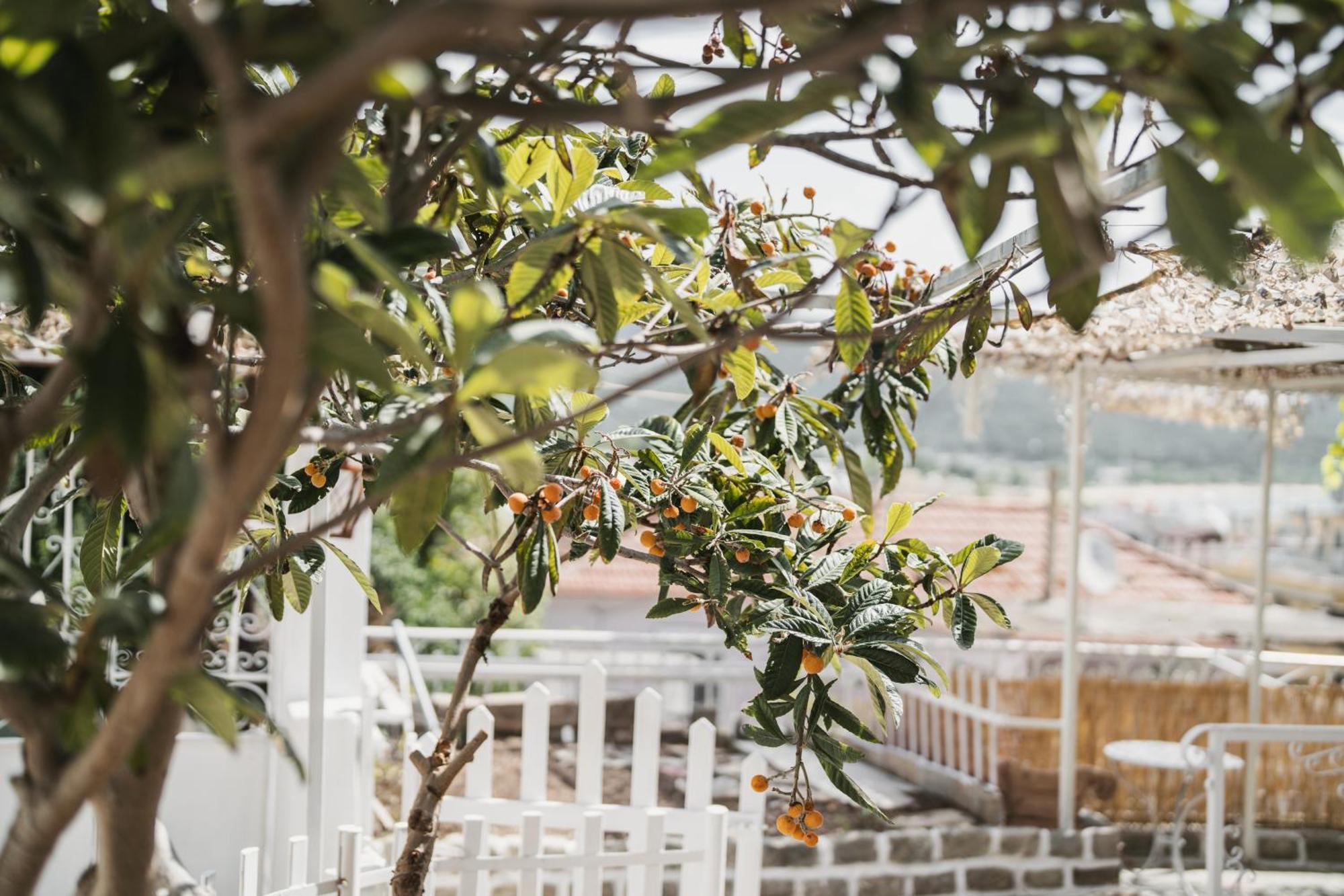 Ferienwohnung The Garden House Kavala Exterior foto