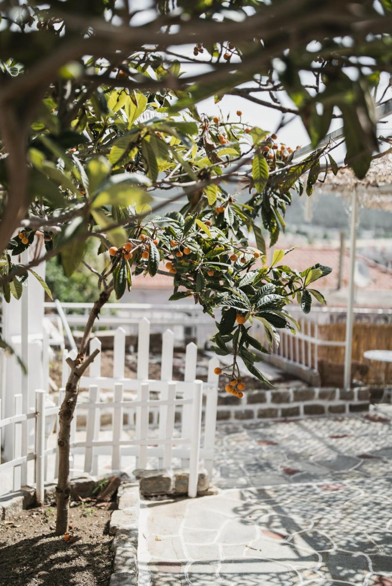 Ferienwohnung The Garden House Kavala Exterior foto